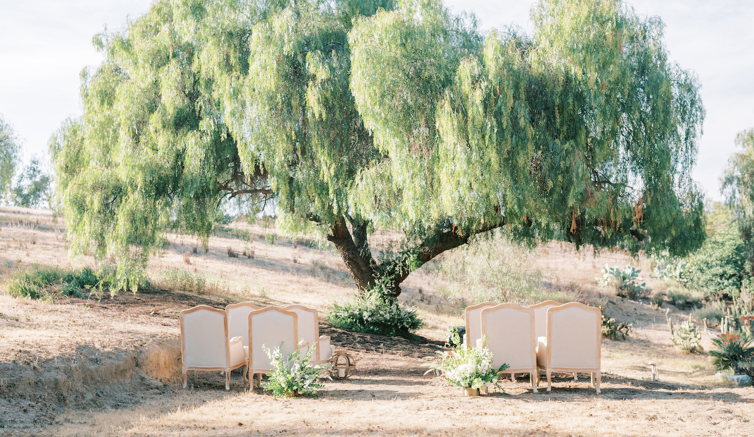 Wedding scene with chairs and tree